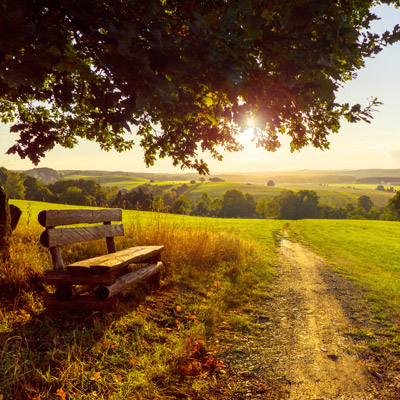 Erntezeit für Ihr Immunsystem Holzbank am Feldweg mit Blick ins sonnige Spätsommer-Panorama – Symbol für Ruhe, Naturverbundenheit und Achtsamkeit