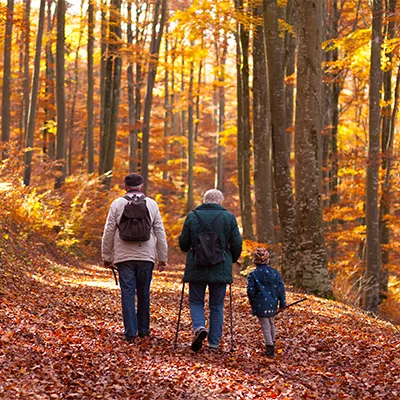 Two adults and a child walking through an autumn forest with colorful leaves – warm sunlight