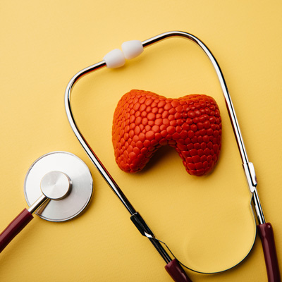 Stethoscope surrounding a stylized thyroid on a yellow background – symbolic illustration of a thyroid examination