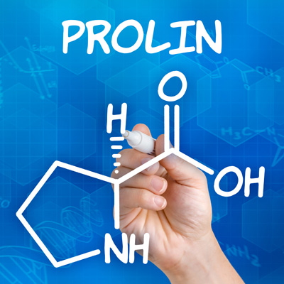 Proline: the building block for healthy joints