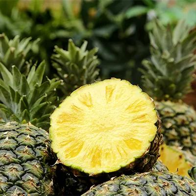 Aufgeschnittene Ananas mit gelbem Fruchtfleisch zwischen ganzen Ananas – natürliche Aufnahme