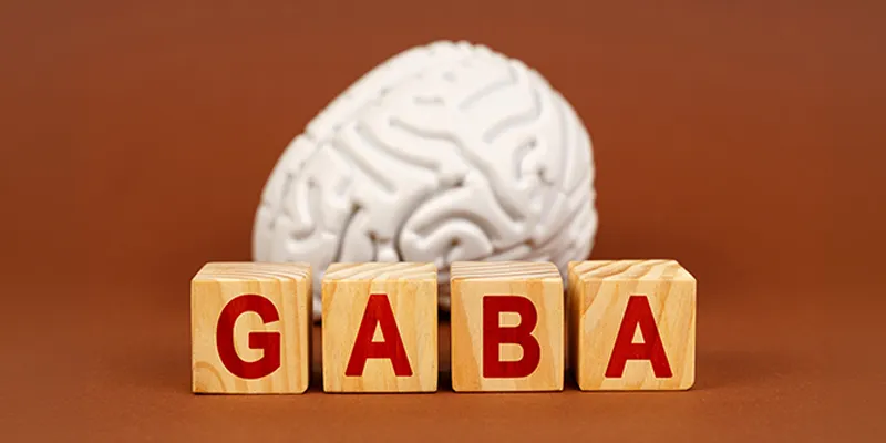 Holzwürfel mit Schriftzug „GABA“ vor einem Gehirnmodell auf braunem Hintergrund