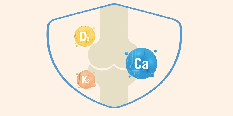 Grafik eines Schutzschilds mit Vitamin D3, K2 und Calcium rund um einen stilisierten Knochen