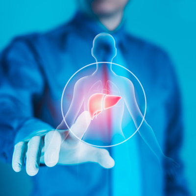 Abstract illustration of human torso with highlighted liver – cool blue lighting, clinical and medical visual style