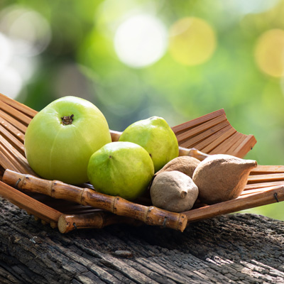 Drei grüne Früchte und getrocknete Bestandteile auf Holzschale im Freien – weiches Sonnenlicht, natürliche und ruhige Stimmung