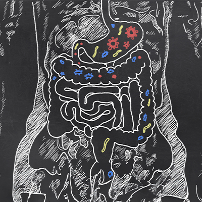 All you need to know about gut health All you need to know about gut health