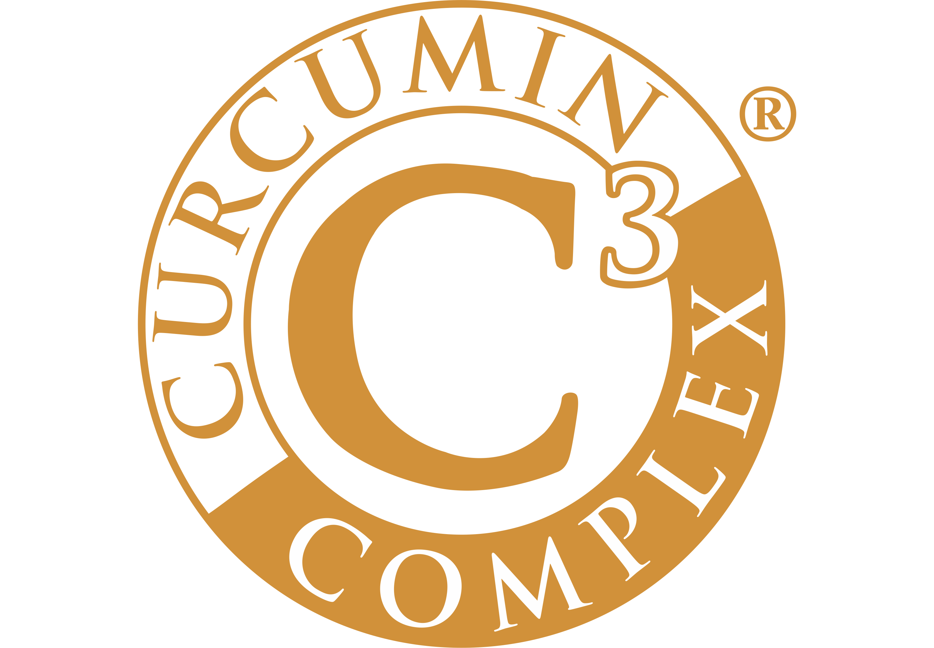 Curcumin 500 (120 Kps)