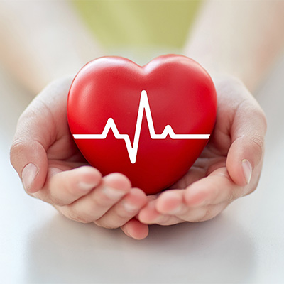 The cardiovascular system: your engine for health and energy The cardiovascular system: your engine for health and energy