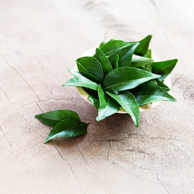 Fresh green curry leaves in small bowl on light surface – natural light, minimalist presentation