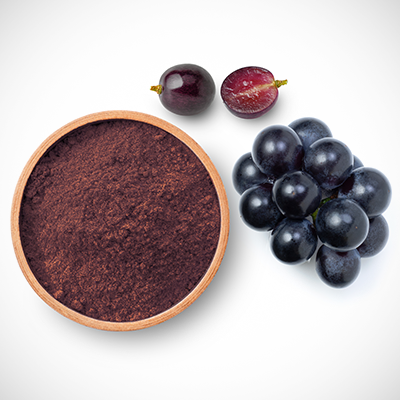 OPC – Antioxidantien für eine bessere Gesundheit! OPC – Antioxidantien für eine bessere Gesundheit!