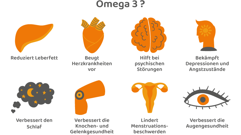 Infographic of omega-3 effects with icons for organs and functions – clean graphic, informative overview