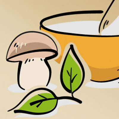 What are medicinal mushrooms? What are medicinal mushrooms?