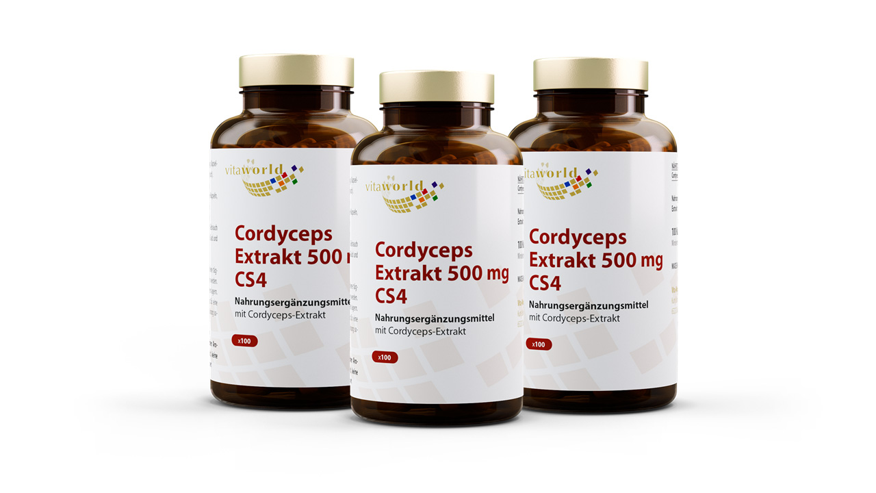 Cordyceps Extrakt 500 mg CS4 3er Pack (300 Kps)