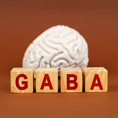 Holzwürfel mit Schriftzug „GABA“ vor einem Gehirnmodell auf braunem Hintergrund