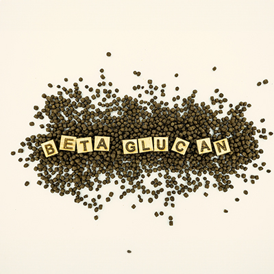 The importance of beta-glucan for the body The importance of beta-glucan for the body